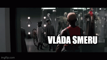 Vláda