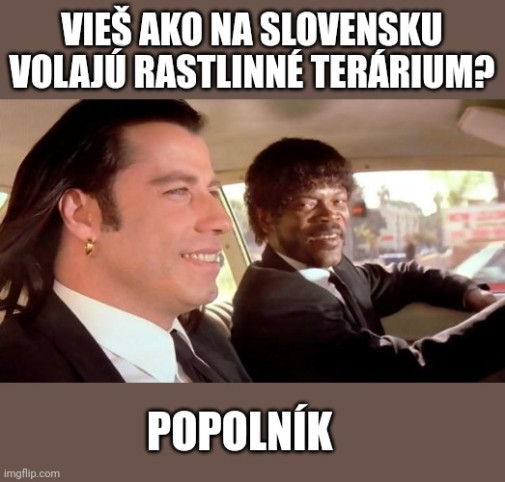Rastlinné terárium po Slovensky